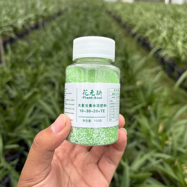 花无缺（促花肥）促进花剑分化增加花朵数量