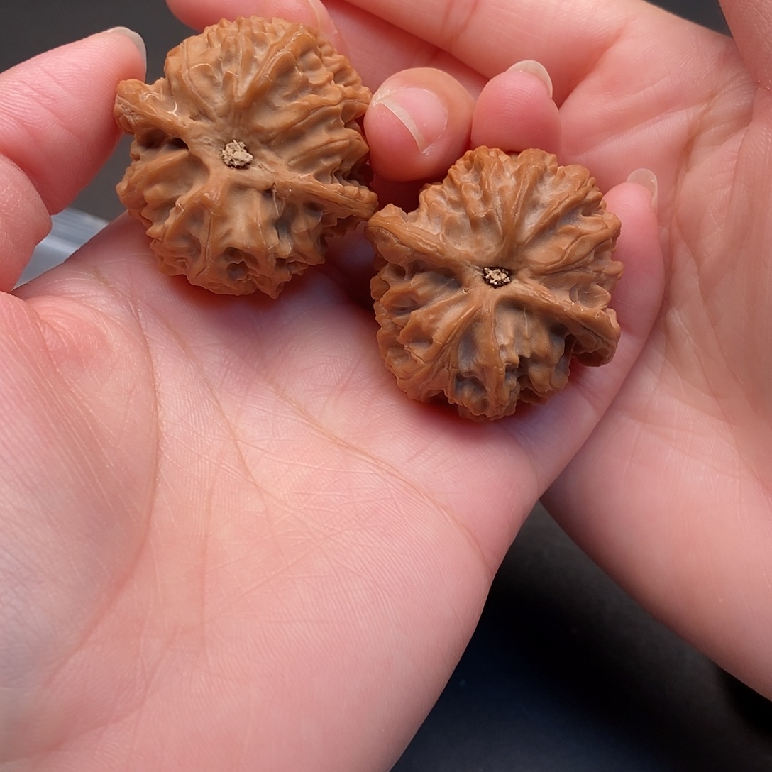 桃核把件40尺毕业对苹果园