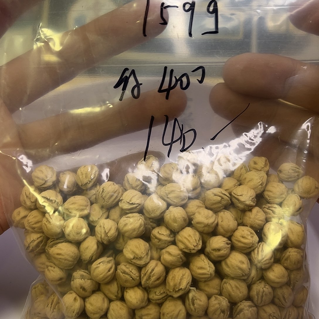 木***石柏香籽/百香籽吊坠