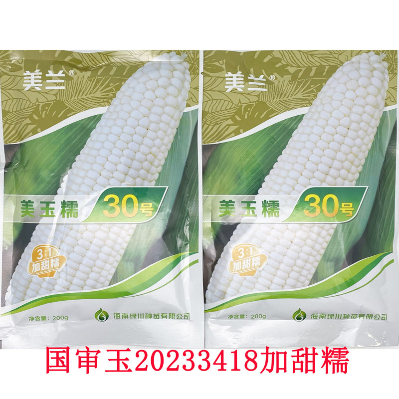 美玉糯30号美玉20号白甜糯玉米种籽绿皮大棒加甜糯国审粘糯玉米种