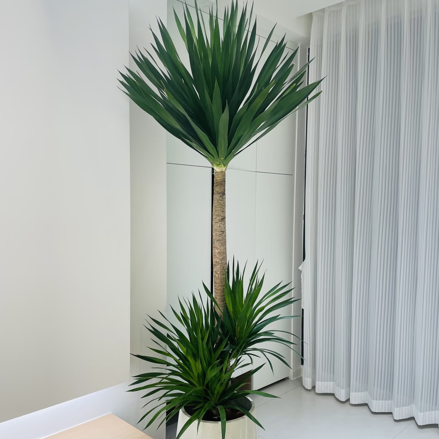 太空铁双层龙血（网红款）送开业 送乔迁