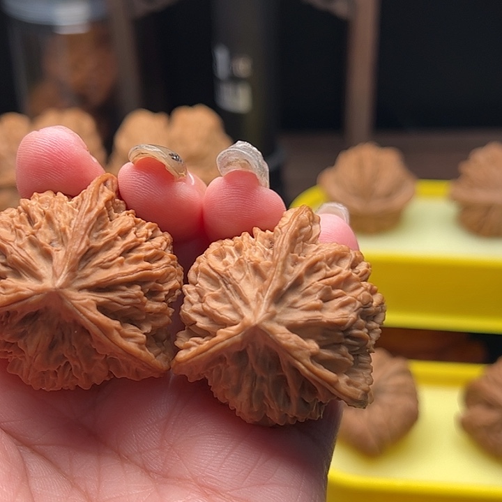 文玩核桃吊坠盘龙纹三棱 全品