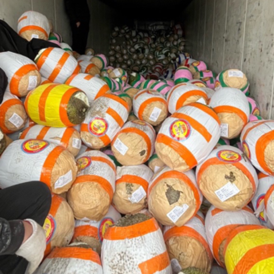 越南进口菠萝蜜，中大果14-16斤