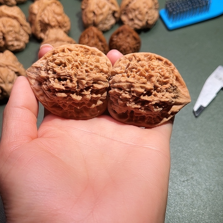 肉***心核桃涞水山地果麒麟纹官帽