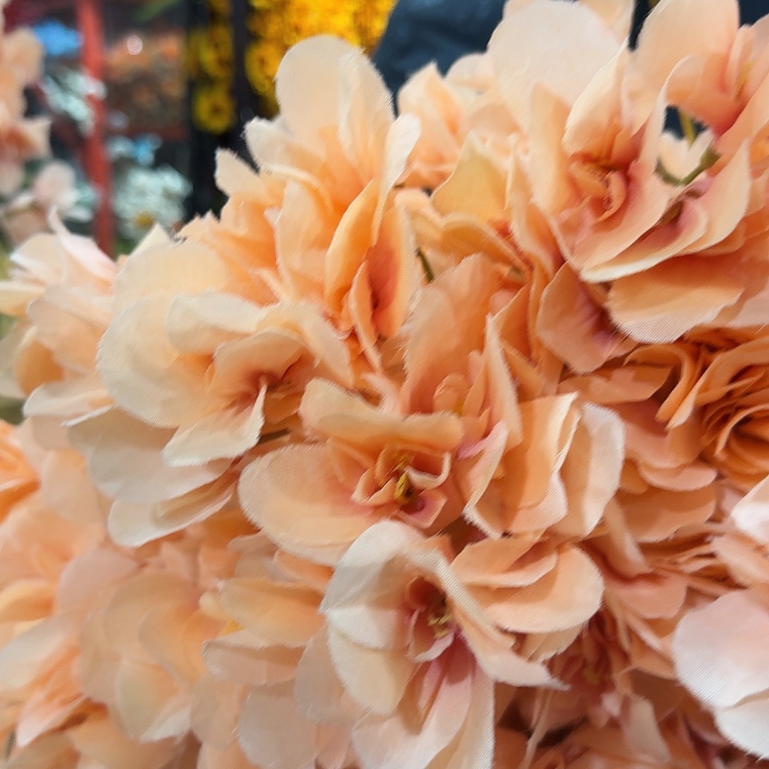 267号多头花25支花