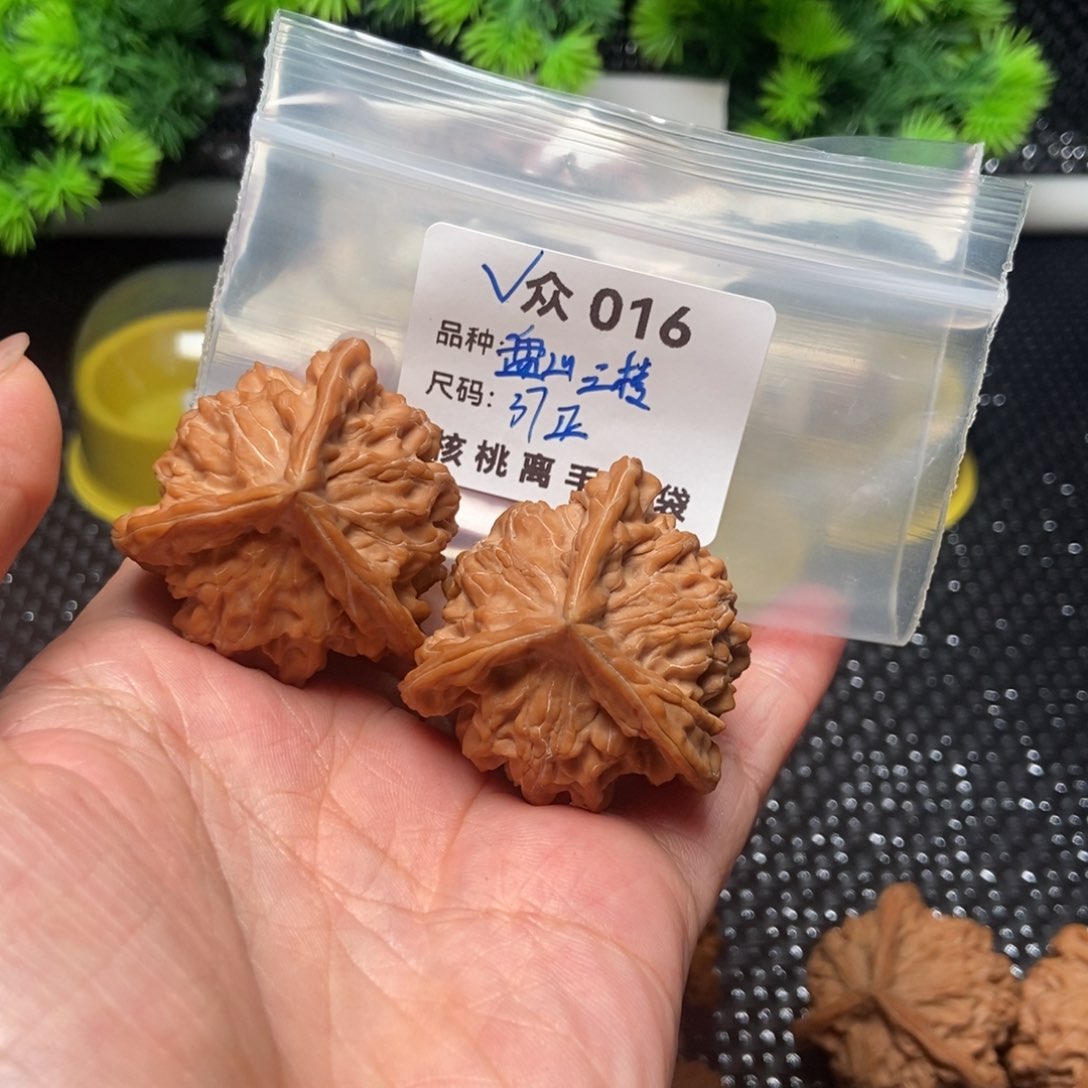 桃核吊坠A****高众016-2025全品盘山37正精品