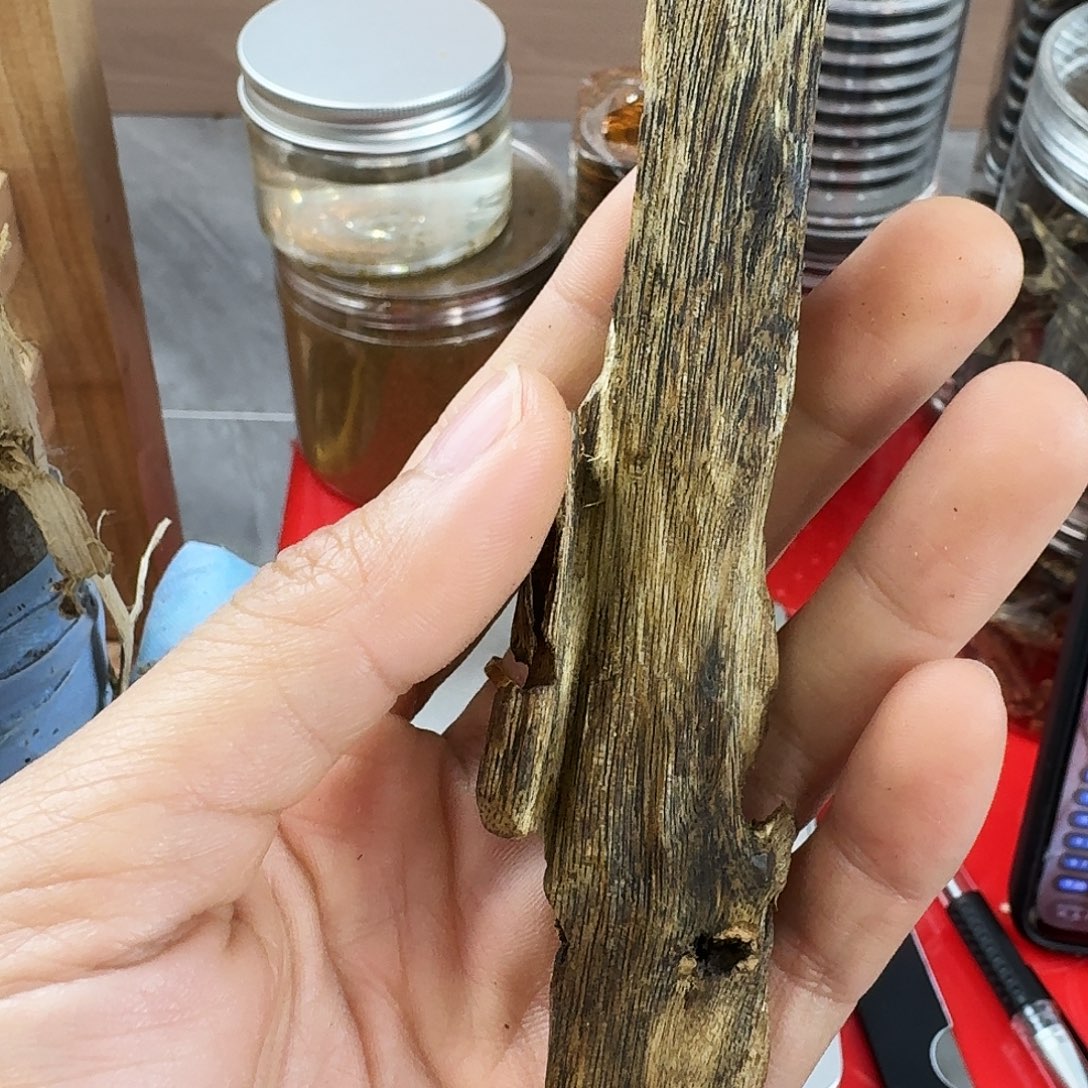 香料绿奇楠虫漏金沙叶15克