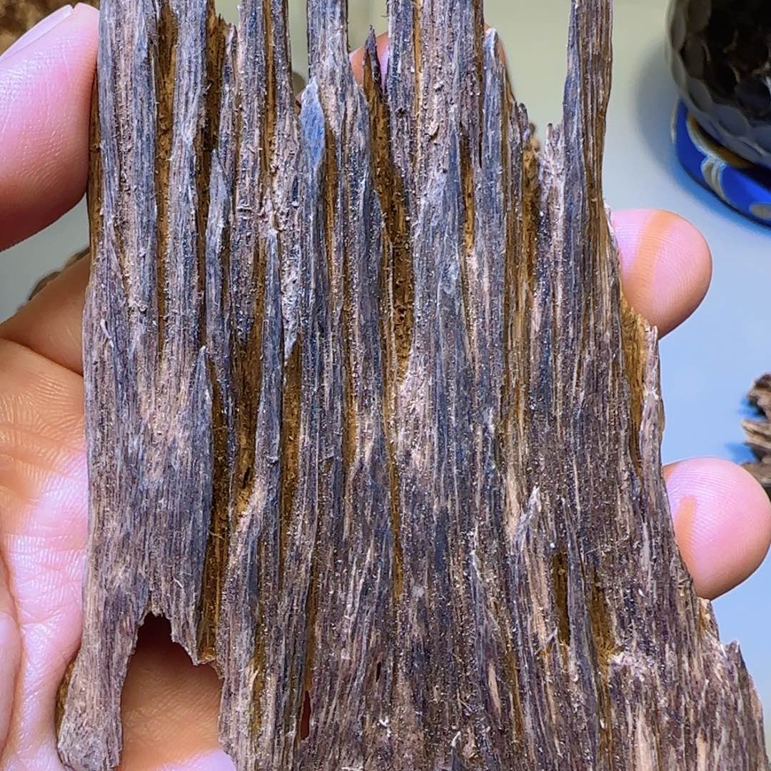 沉香沉香碎屑24.52克芽庄土沉蚂蚁腿99沉树心油