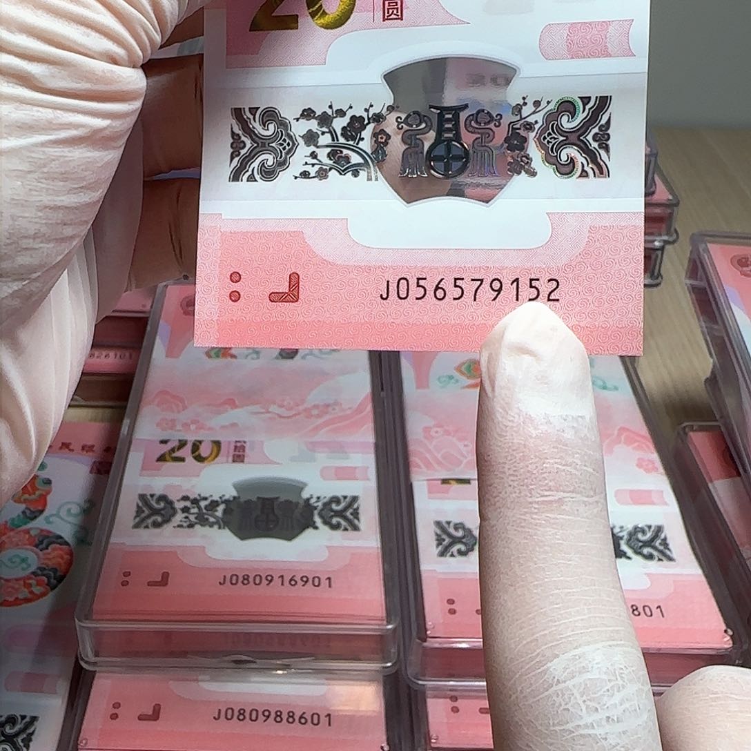 纸蛇年大吉蛇年大吉
