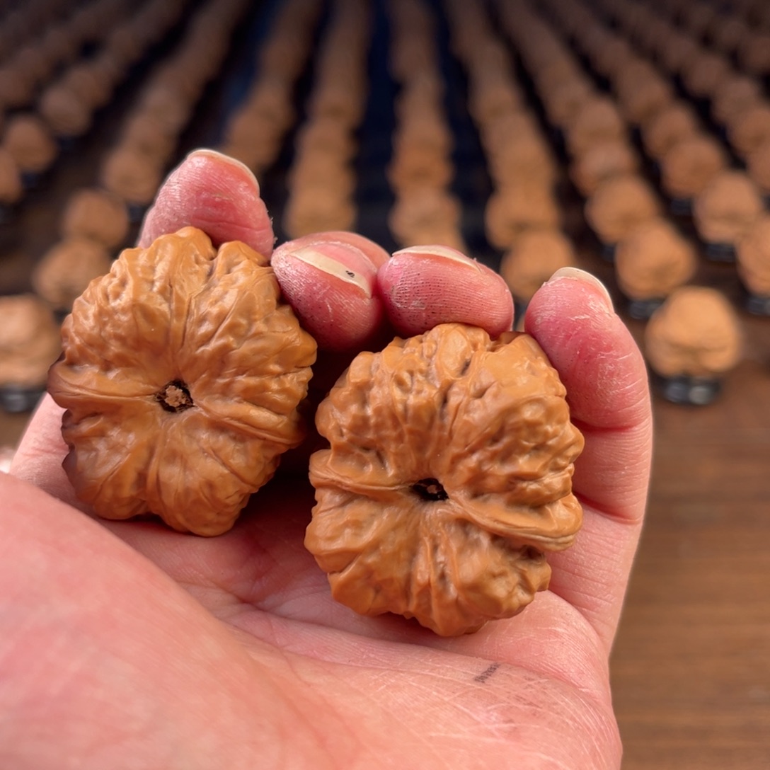 御***霜文玩核桃吊坠每晚都要看一遍