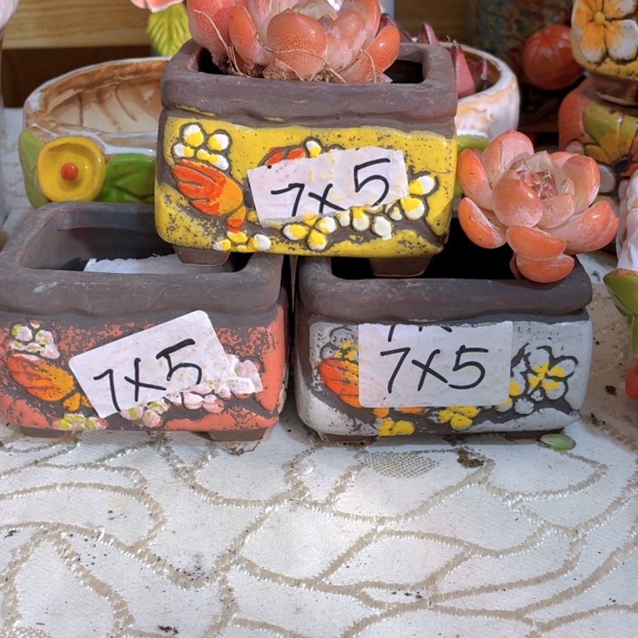 多肉花盆满15包邮