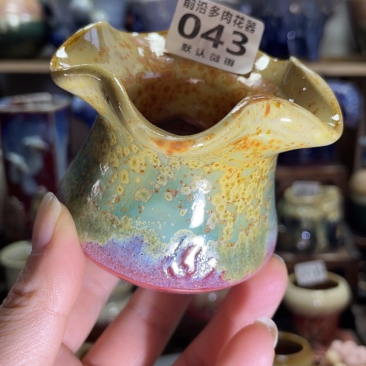 狼盆内口径4高度6