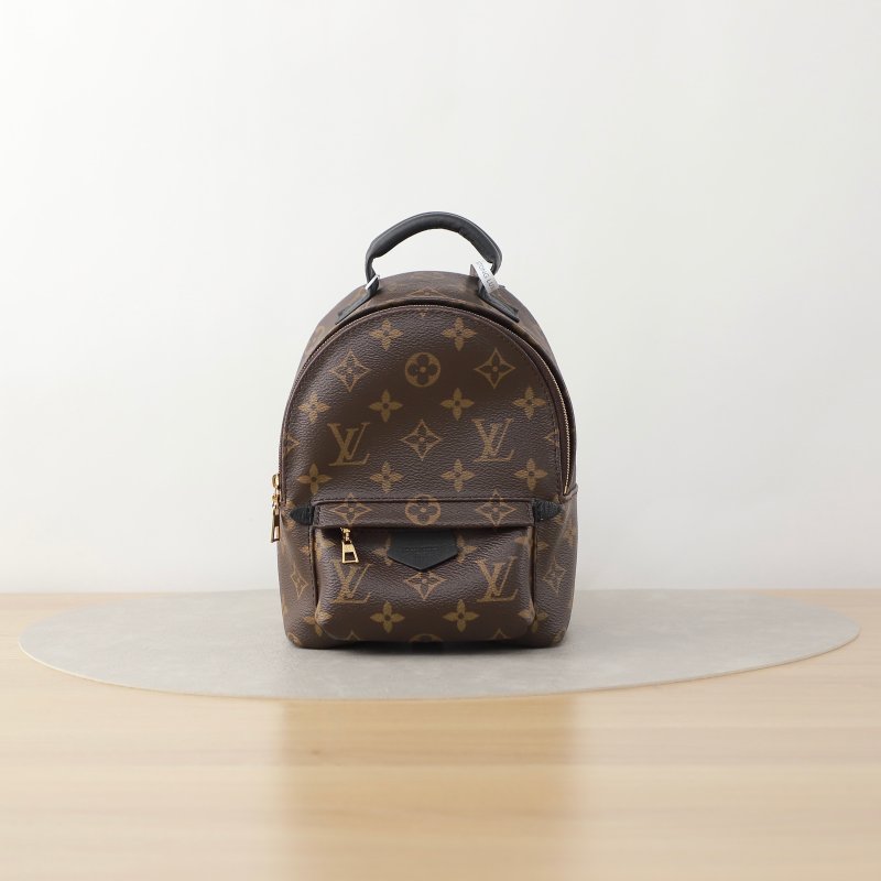 95新 LouisVuitton/路易威登 小书包/双肩包/2316