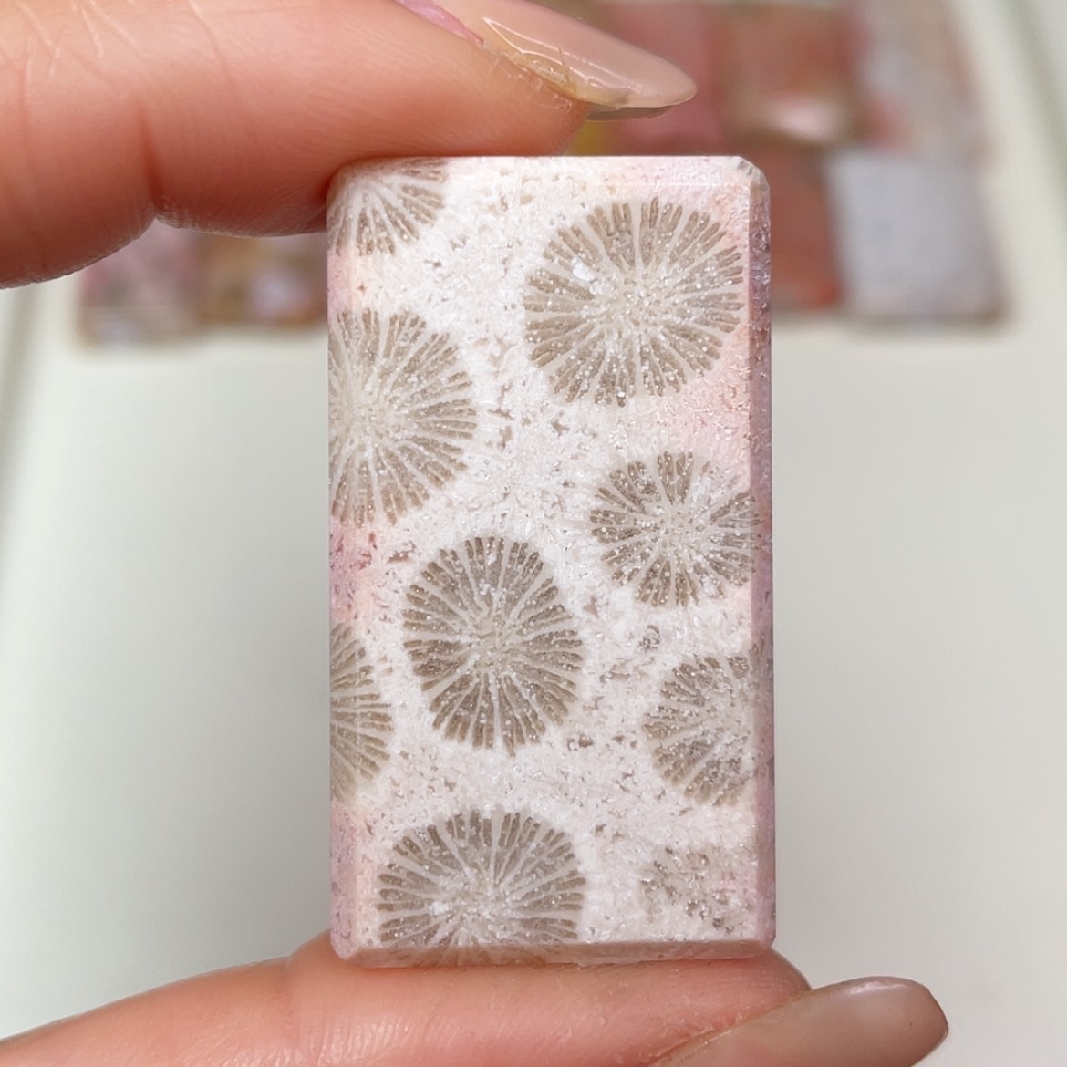 【闪购商品】未镶嵌吊坠(赠链)硅化玉