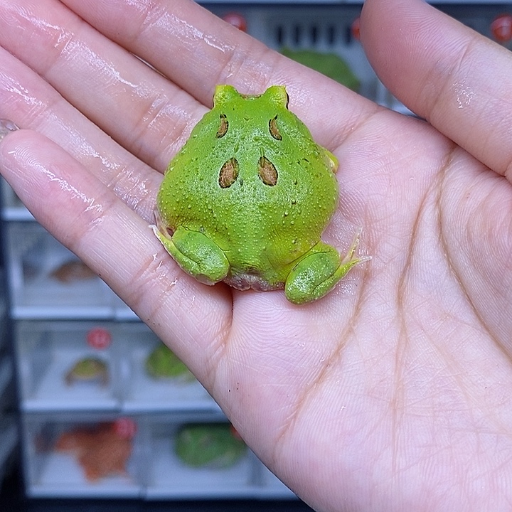 特价秒杀现货特价