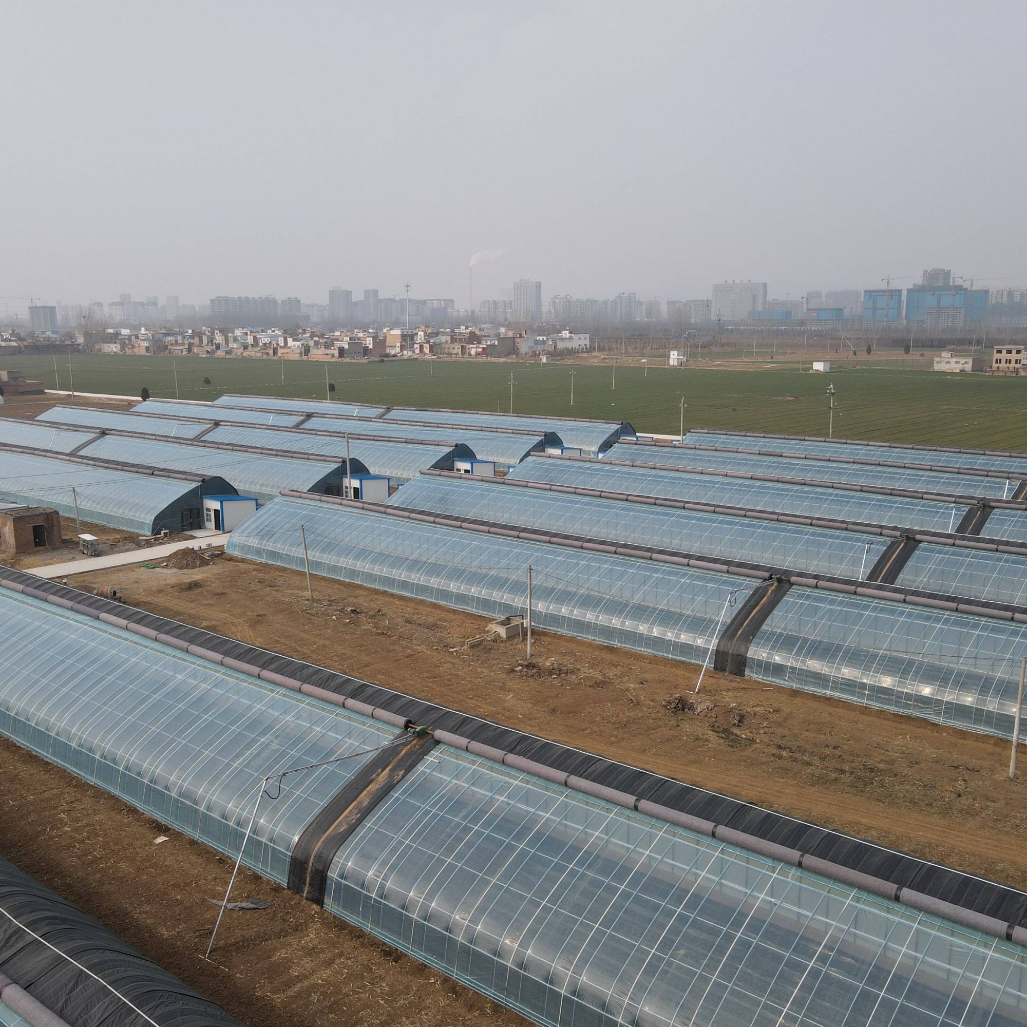 种植大棚大棚骨架养殖大棚鸡棚养猪棚蔬菜大棚花卉棚温室大棚全套