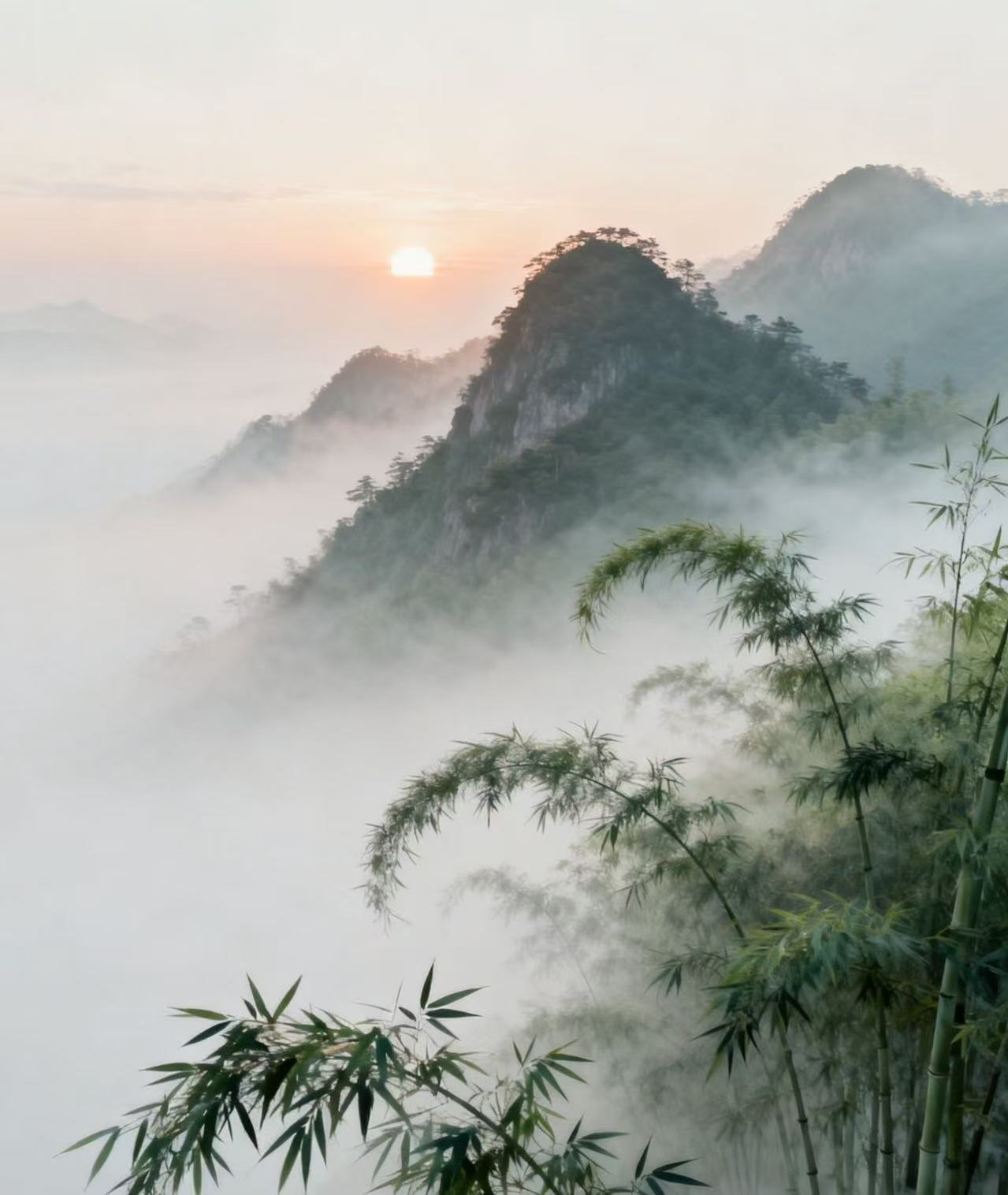观山茶水改价链接