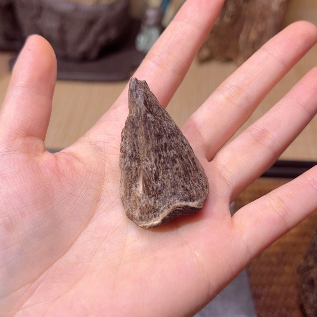 【闪购商品】香榧木爱*玩海南木料黎母山包壳2克