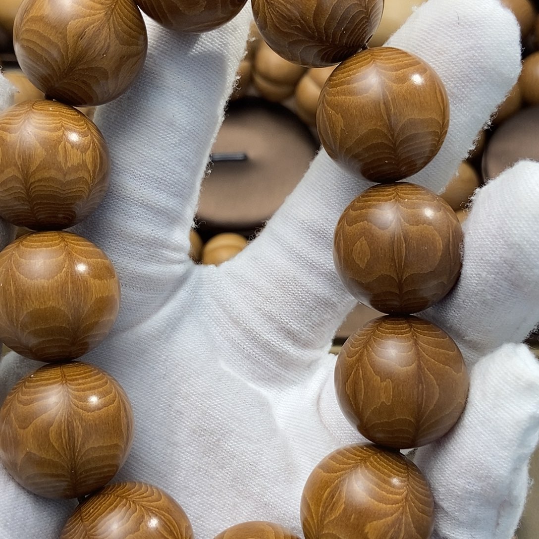 将***心六道木山西五台山