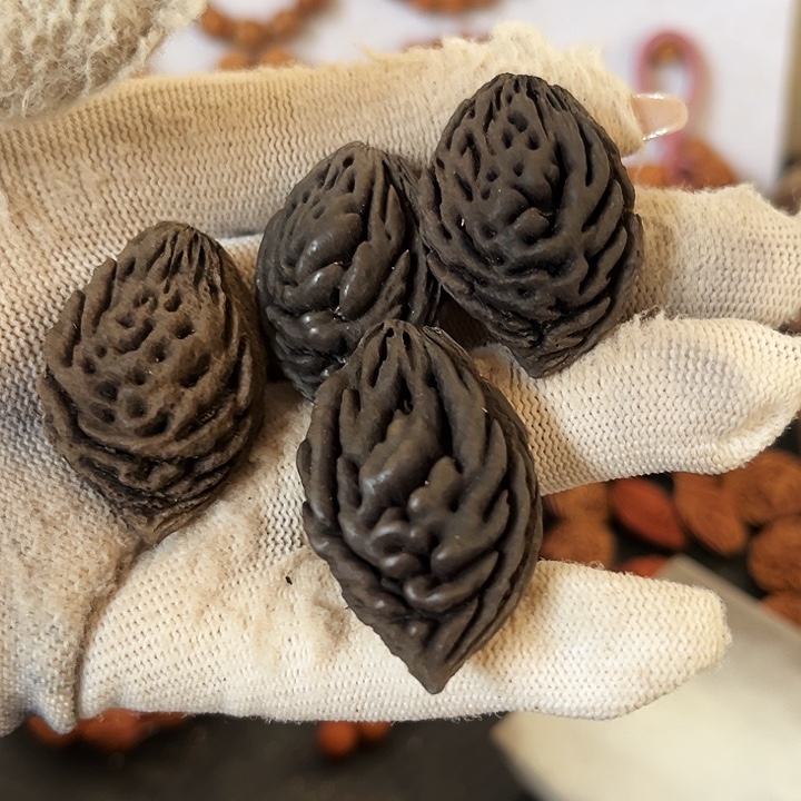 常***德2868868968896探险155899