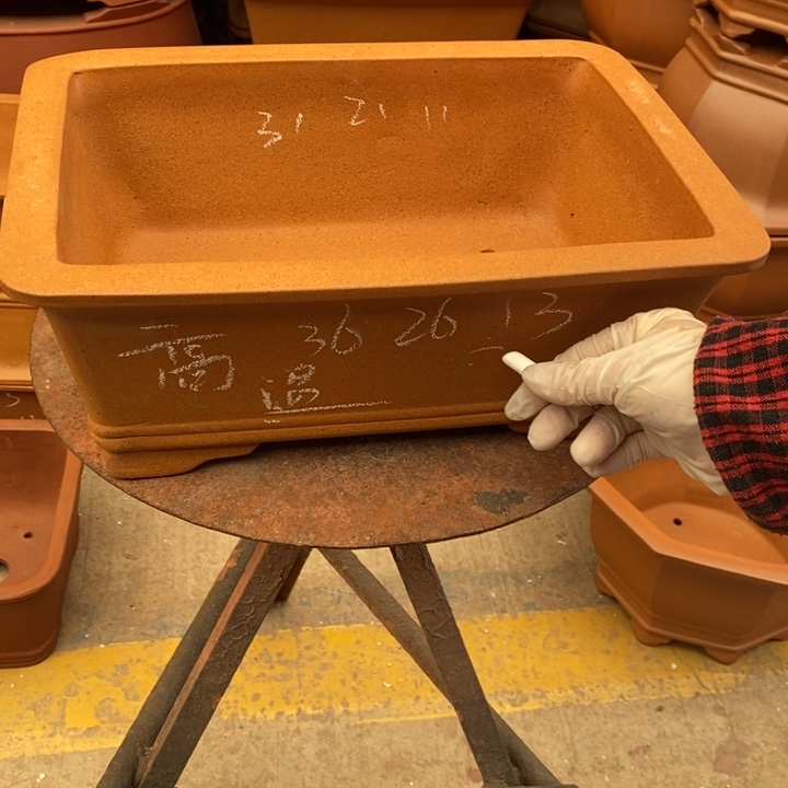 花盆紫砂只顾看你的