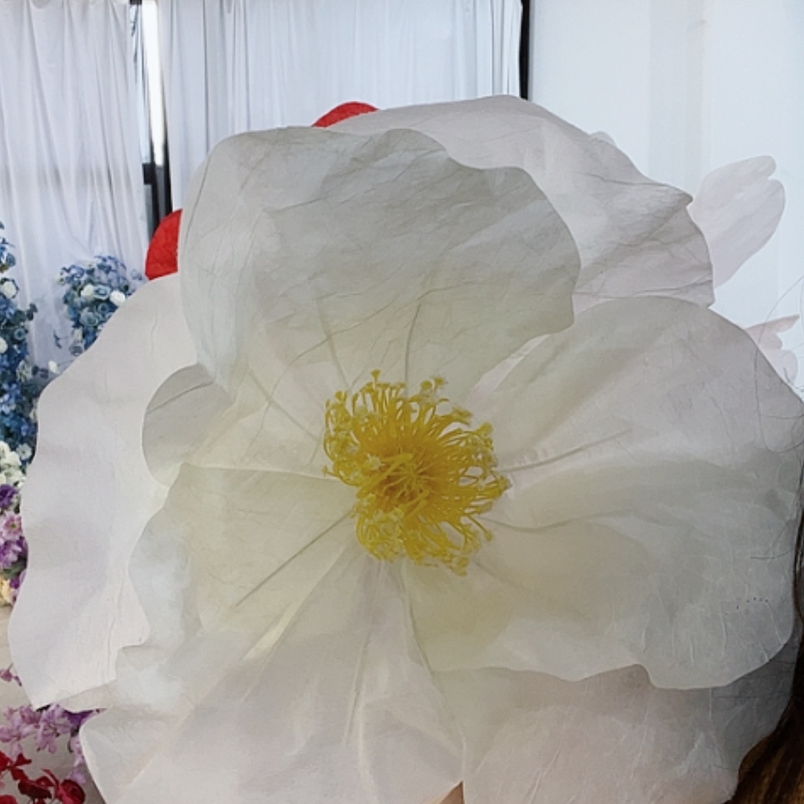 【闪购商品】单花头