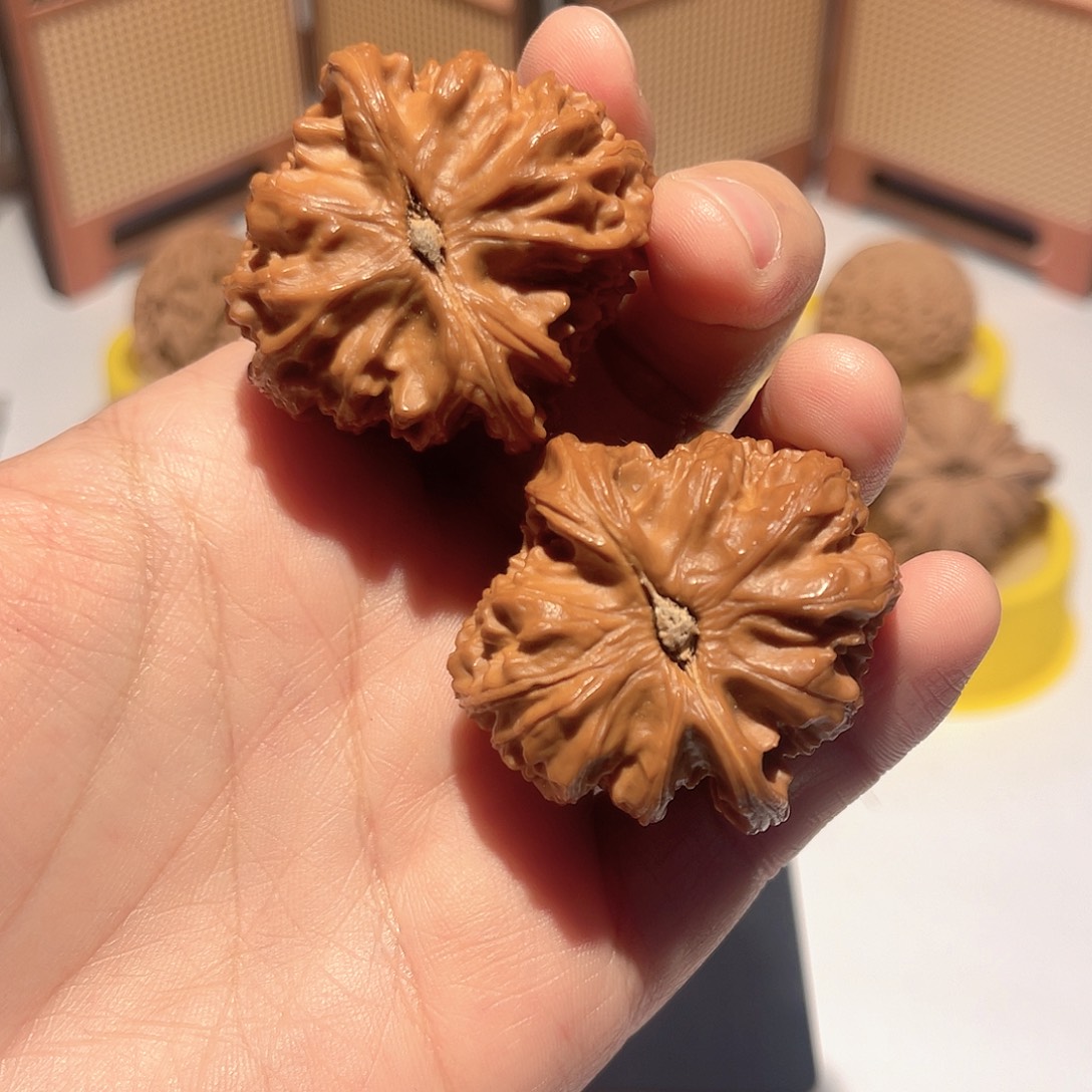 好***鳅核桃40全品三角白