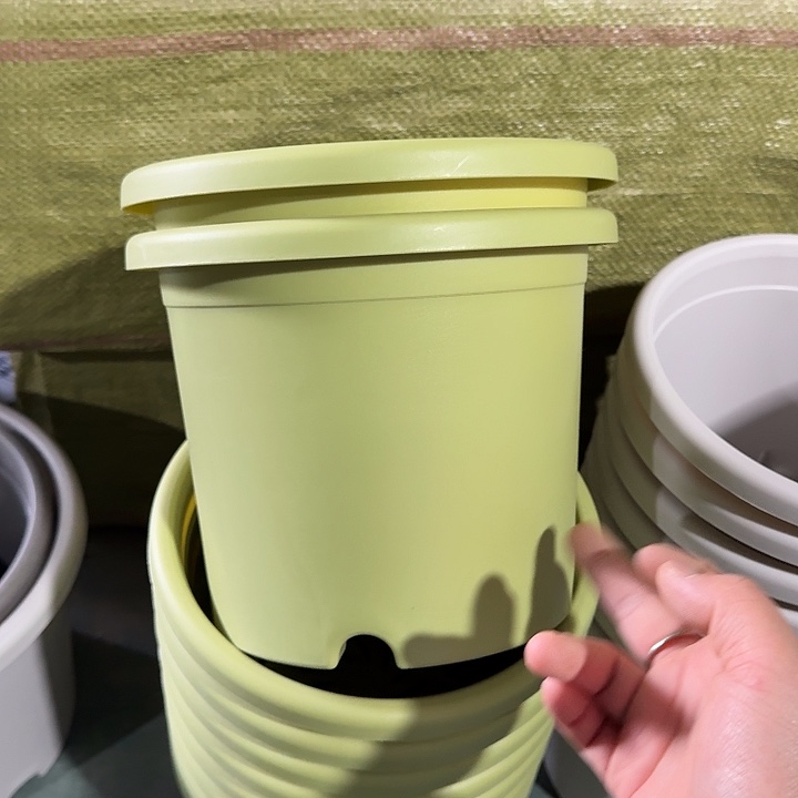 微瑕3#果绿10个无托