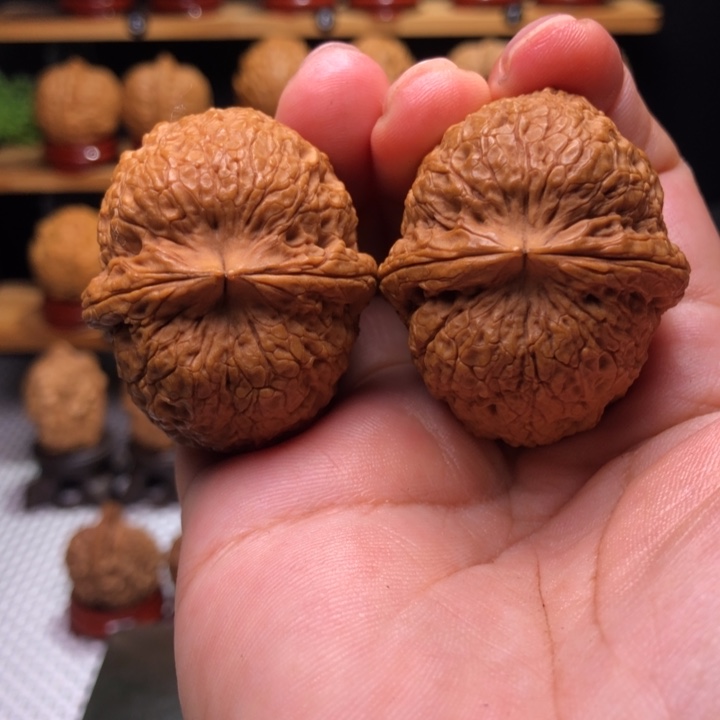 【闪购商品】铁狮子8