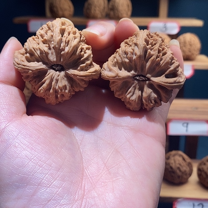 韩***信南将石文玩核桃46