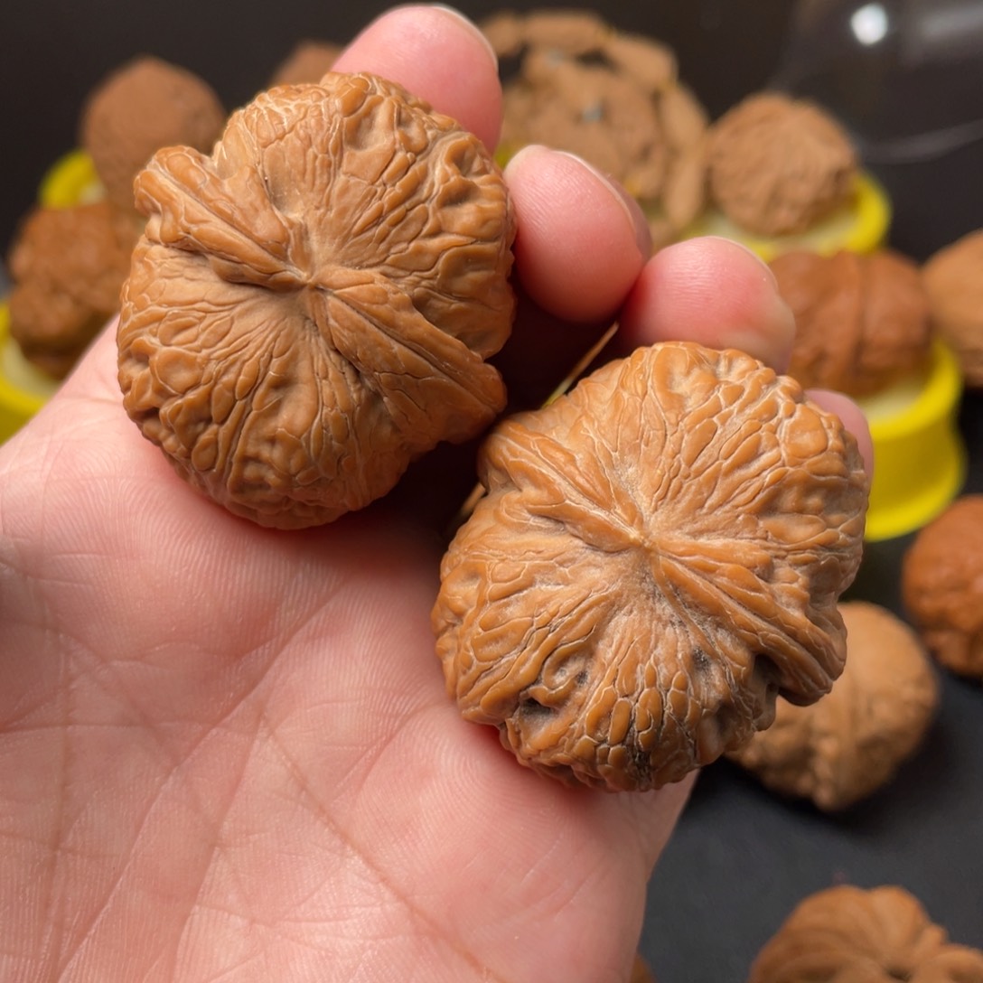 核桃甚**Y核农文玩核桃元宝