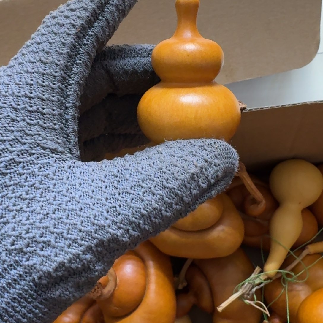 奇***遇葫芦葫芦葫芦葫芦葫芦