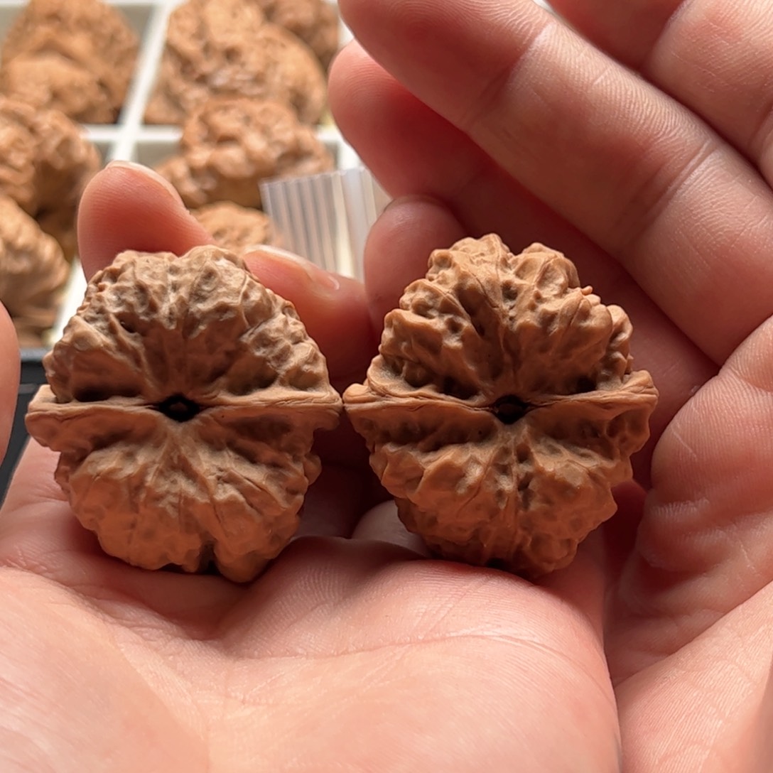 核桃把件延庆蛤蟆头