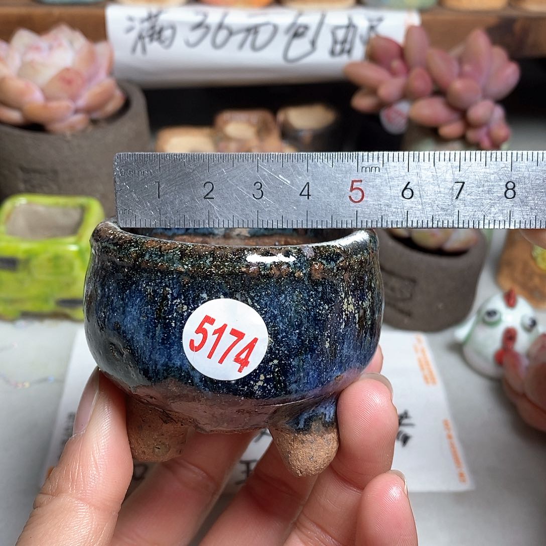 红陶拍5送一个小