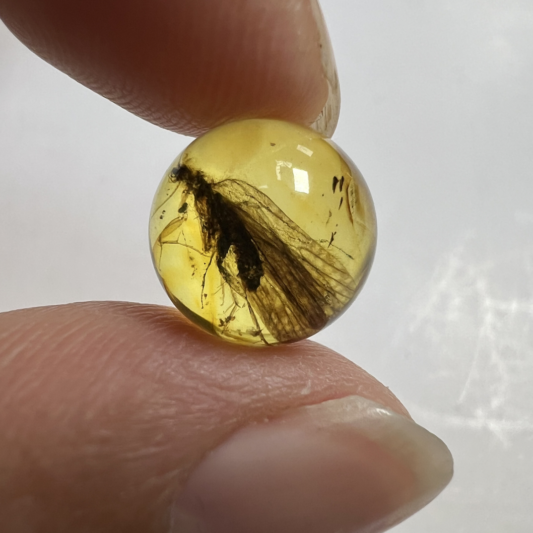 虫珀圆坠尺寸：11.2mm不能打孔