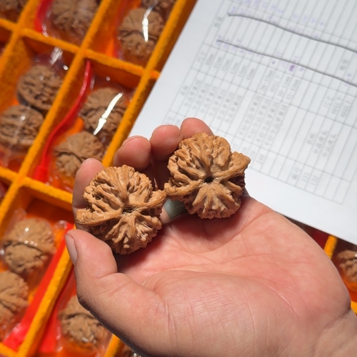 文玩核桃把件1013号45mm全品苹果园