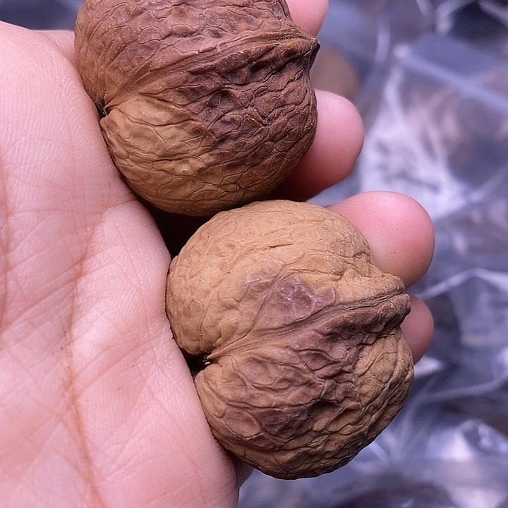 把件文玩核桃   77