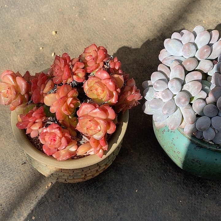 争***继续去陌陌摸摸得得得来了就弄