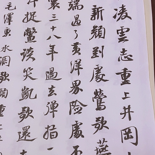 书法张建东老师书法作品