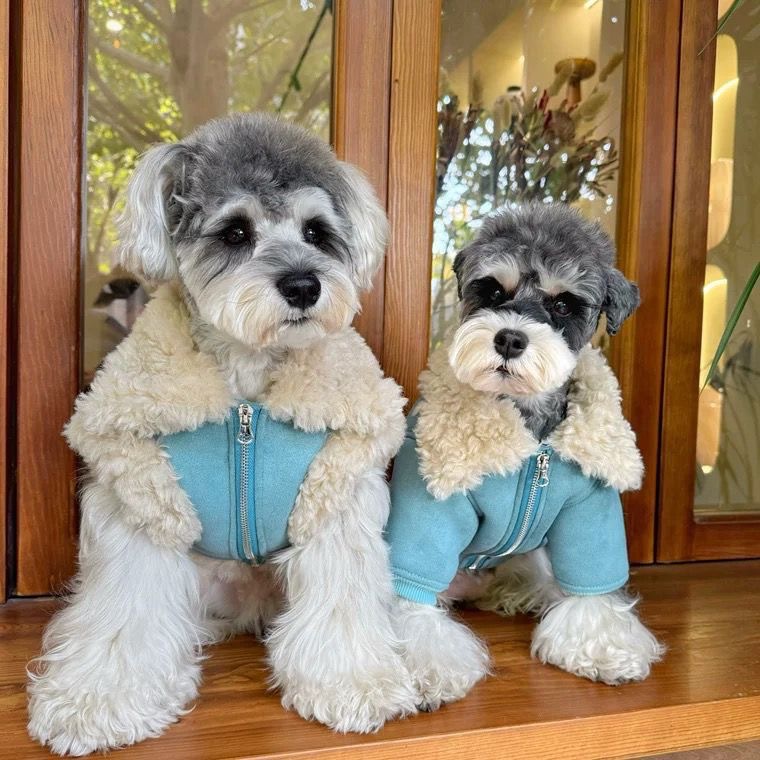 狗狗衣服秋冬新款加绒加厚小型犬泰迪比熊宠物保暖棉服