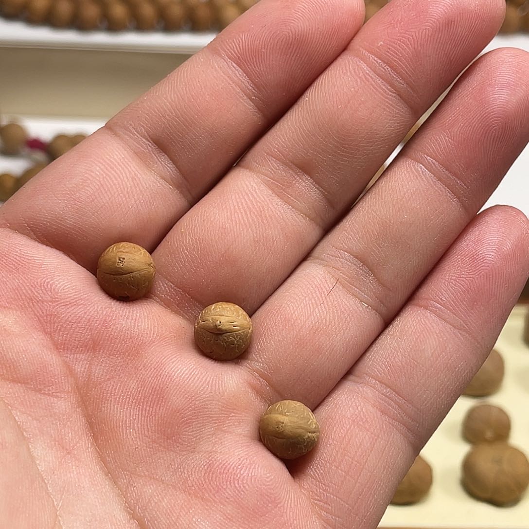 凤眼菩提吊坠天*3颗9.6mm凤眼菩提