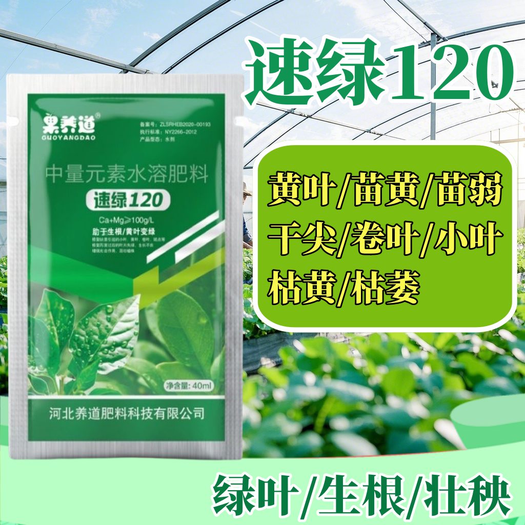 果养道速绿叶面肥水溶肥提高叶绿素增强氨基酸农资肥料通用型绿叶
