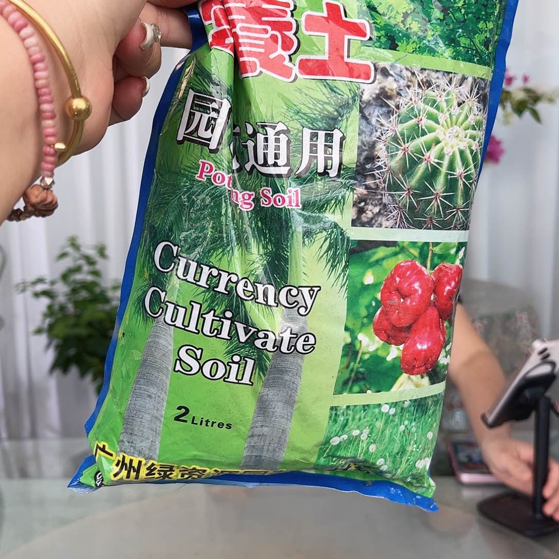 当前无花栽培后可以开花土一包