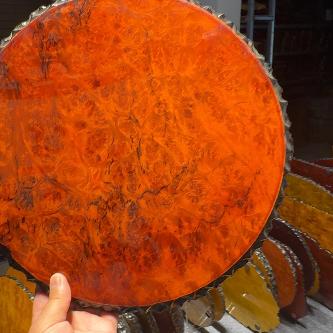 红金樟222222222222222222