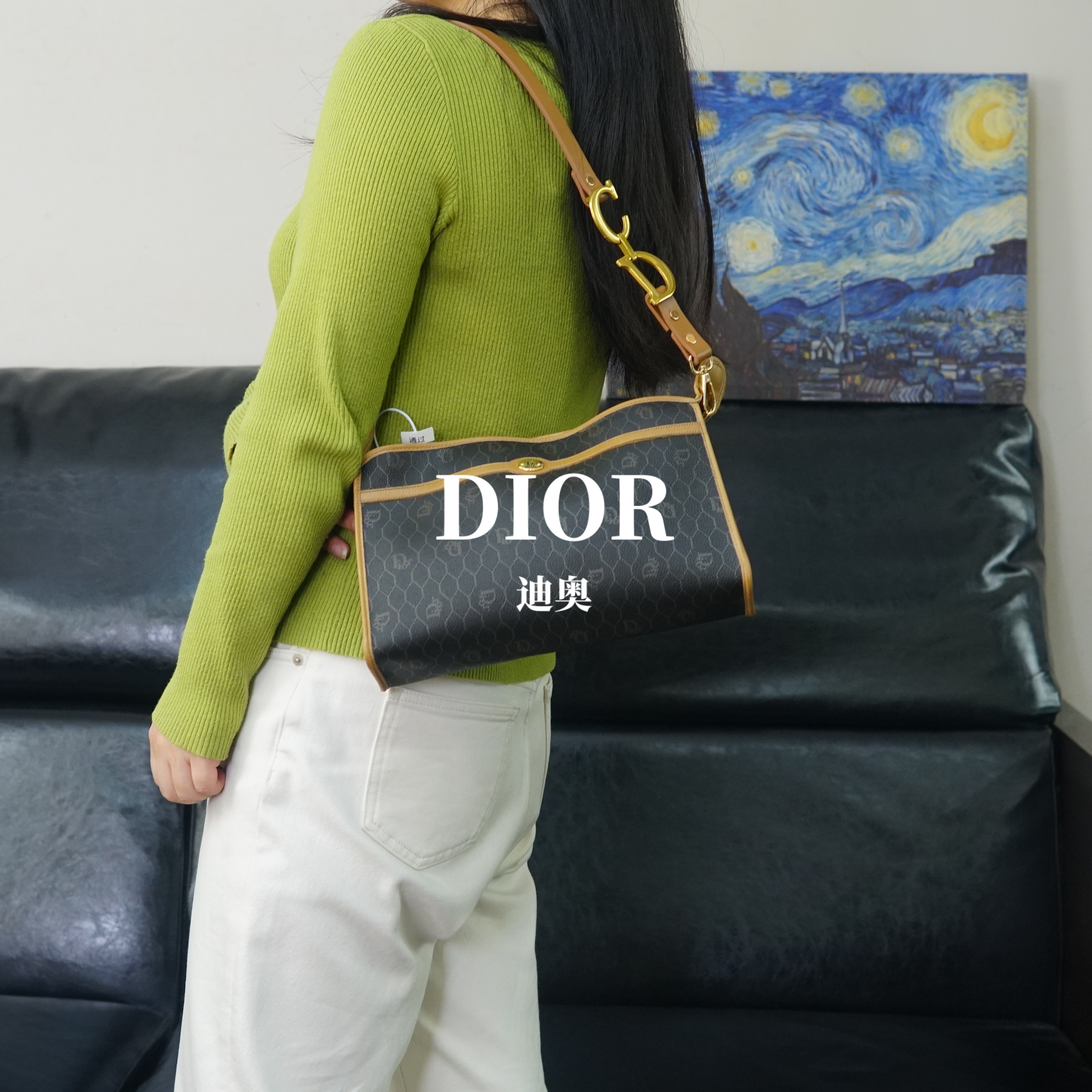 95新 DIOR/迪奥 老花单肩/WJ03503709/3709