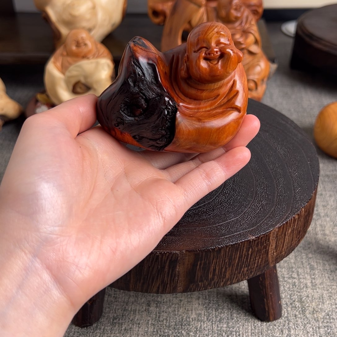 柏木（崖柏）关注一下