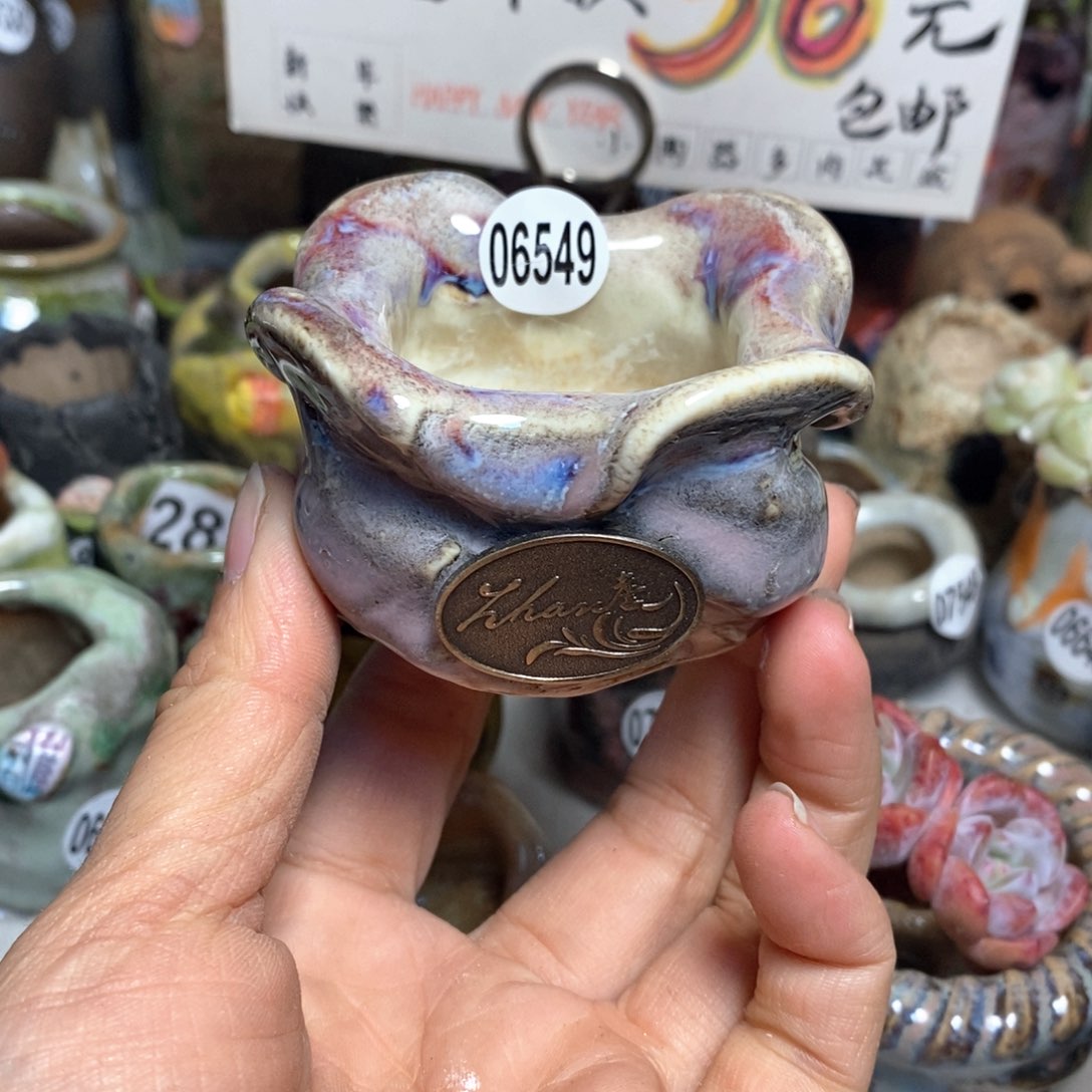 特价花盆拍5送一个小礼物