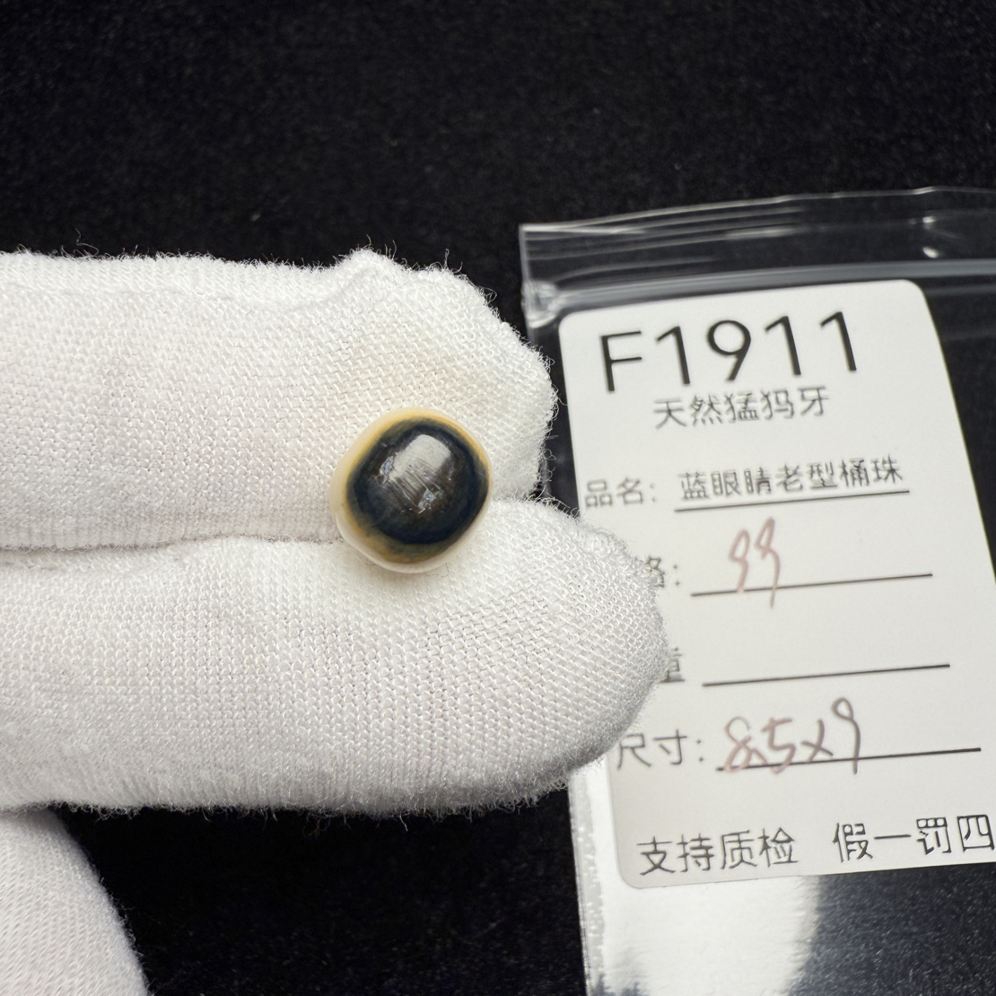 F1911天然猛犸象牙蓝皮老型桶珠墩子顶珠配珠配8.5*9mm
