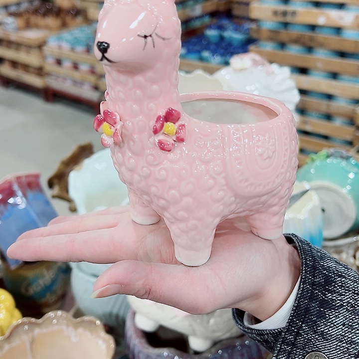 有孔，凑单福利满10元发货陶瓷多肉花盆！