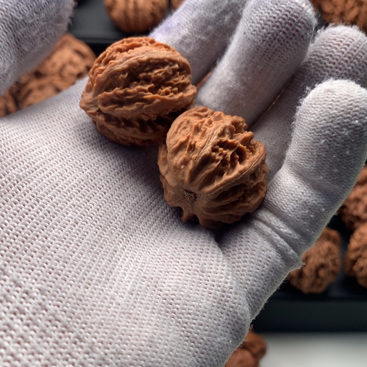 其他核桃秦岭的一个大森林